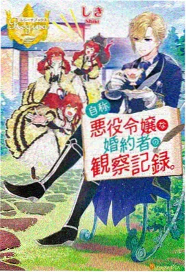 中文字幕动漫星屑少年海报