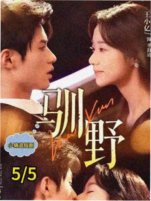 中文字幕纪录片大地脉动海报